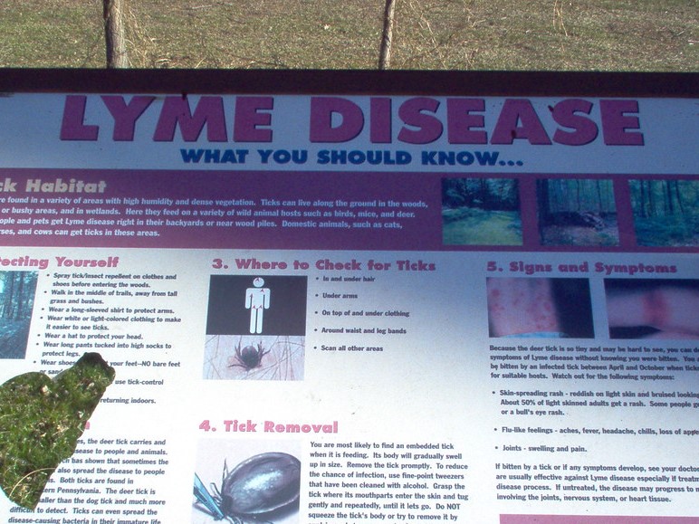 is lyme disease curable